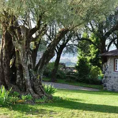 Encantadora Casa Com Piscina Nos Arredores De * براغا